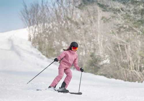 Guardianes de invierno - ski pass