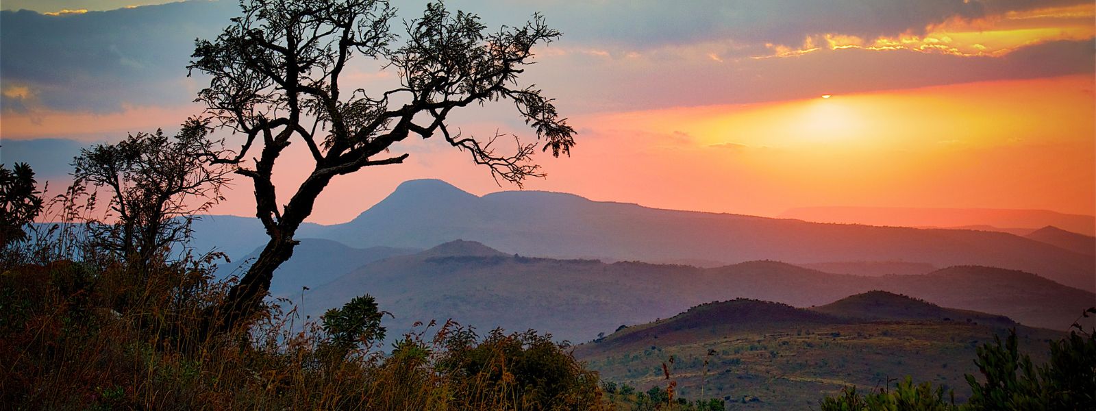 Naturaleza en áfrica
